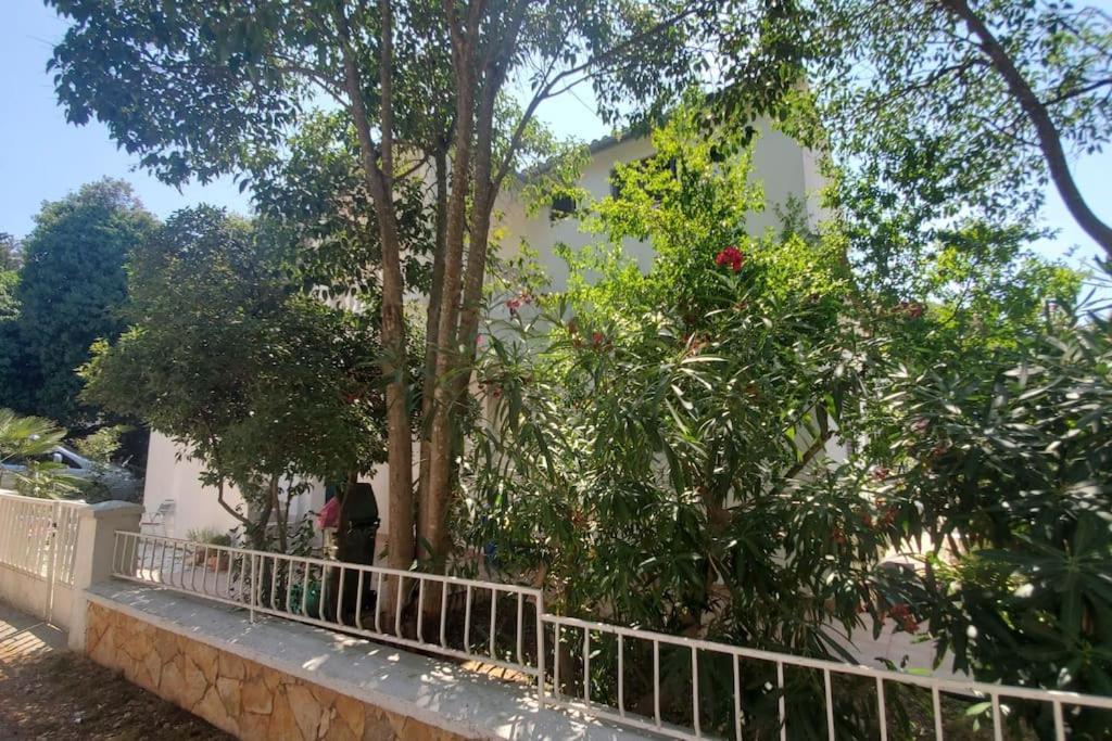 Appartement Casa Blanca, Biograd Na Moru Extérieur photo