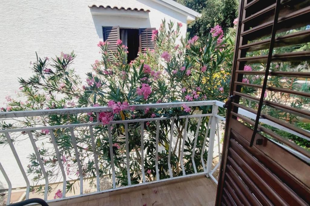 Appartement Casa Blanca, Biograd Na Moru Extérieur photo